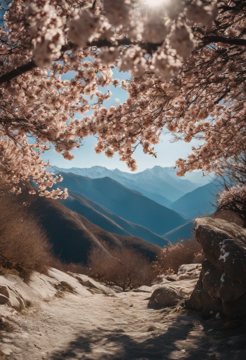 Laurel branches,Shot at a 15-degree elevation angle for medium and close ranges,petals,Osmanthus flowers flying,Top daylight,Refreshing style,Snowy mountains in the distance,Ultra-clear image quality