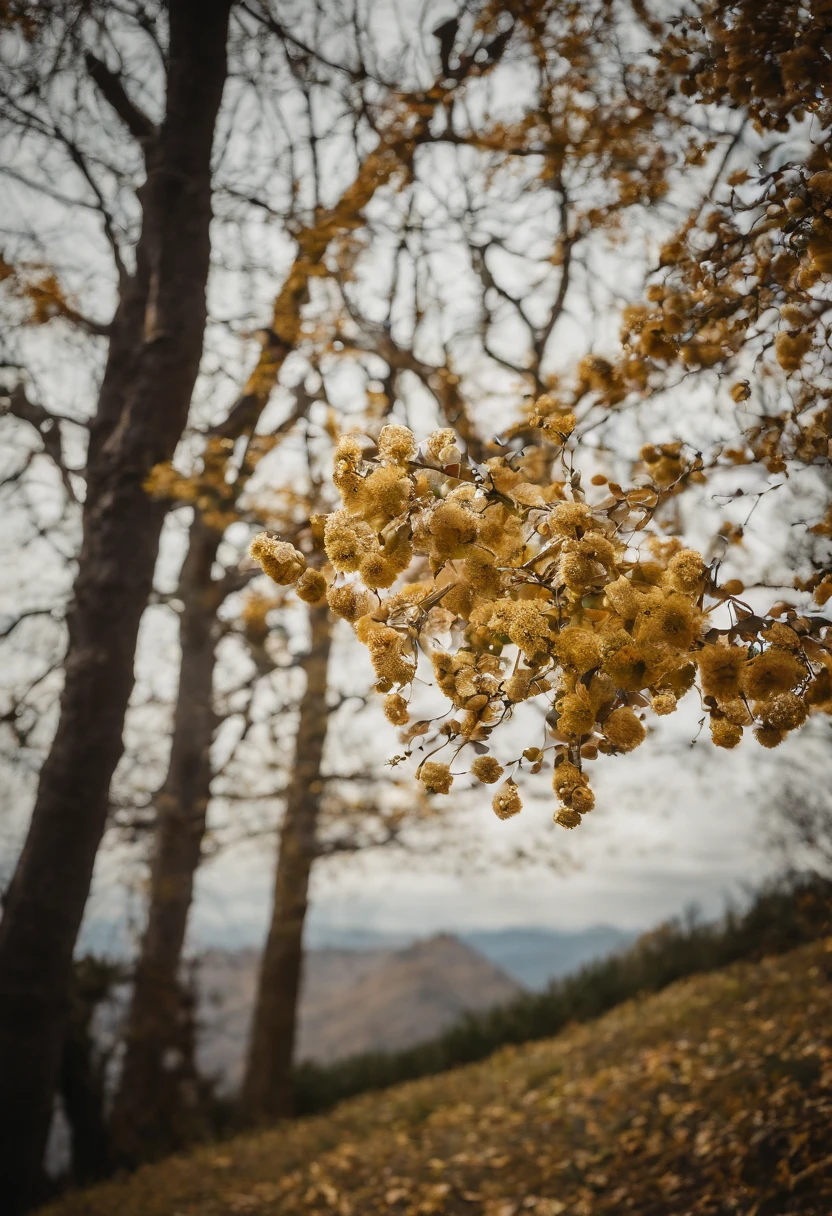Laurel branches,Shot at a 15-degree elevation angle for medium and close ranges,petals,Osmanthus flowers flying,Top daylight,Refreshing style,Snowy mountains in the distance,Ultra-clear image quality
