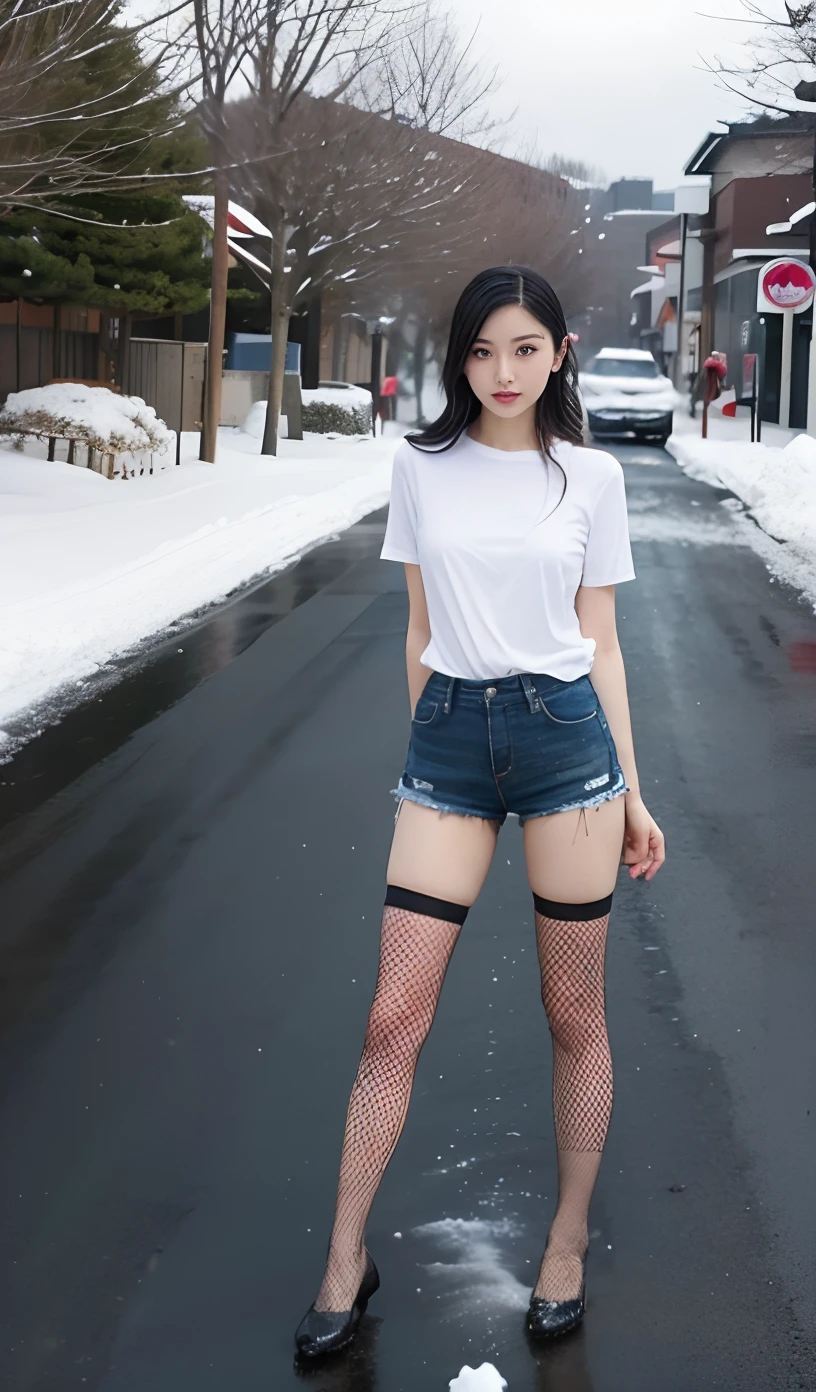 A Japanese Lady、beauitful face、二重まぶた、Big eyes、Long Black Hair、Short sleeved shirt、Micro shorts、beauty legs、Raw feet、fishnet tights、Clean thighs、tall、model poses、Oyuki、snow blowing、snow cover、