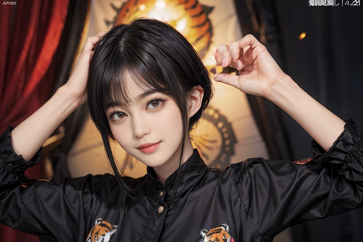 03
(Black Shorthair:1.3), (a 20 yo woman), (A hyper-realistic), (masutepiece), (8KUHD), Looking at the camera, Beautiful woman, A smile, (Tiger Design Clothing)