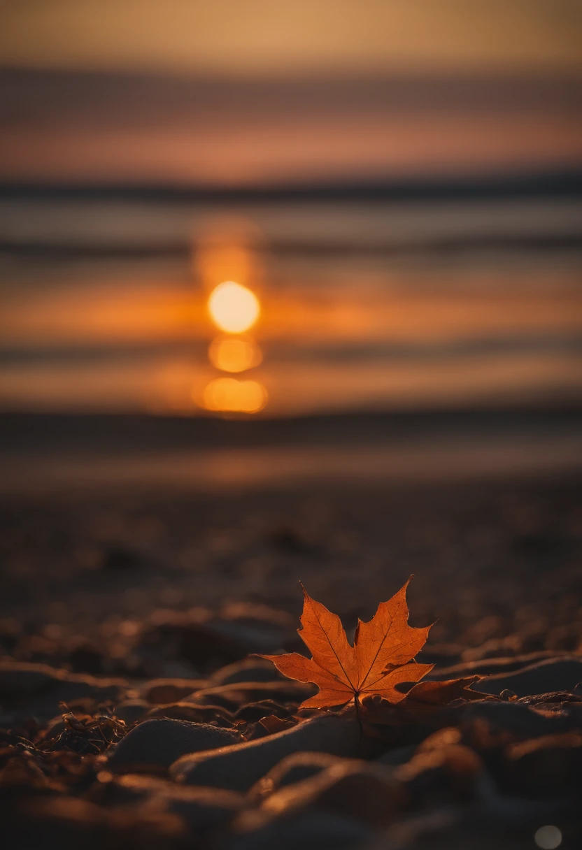 An autumn beach, with an autumn sunset, the most beautiful sunset in history.