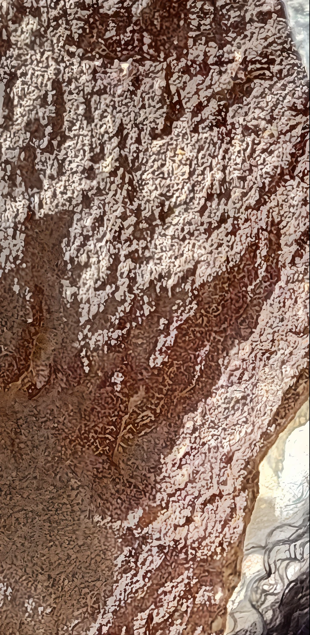 araffe woman in a bikini sitting on a rock in the sun, perto da praia, standing in a grotto, sunglasses and a scarf, photo from behind, em uma grande caverna do deserto, vestindo chiton floral, ao sol, vacation photo, vestindo chiton floral rosa, sparkling in the sunlight, em uma caverna, vestindo roupas de homem das cavernas