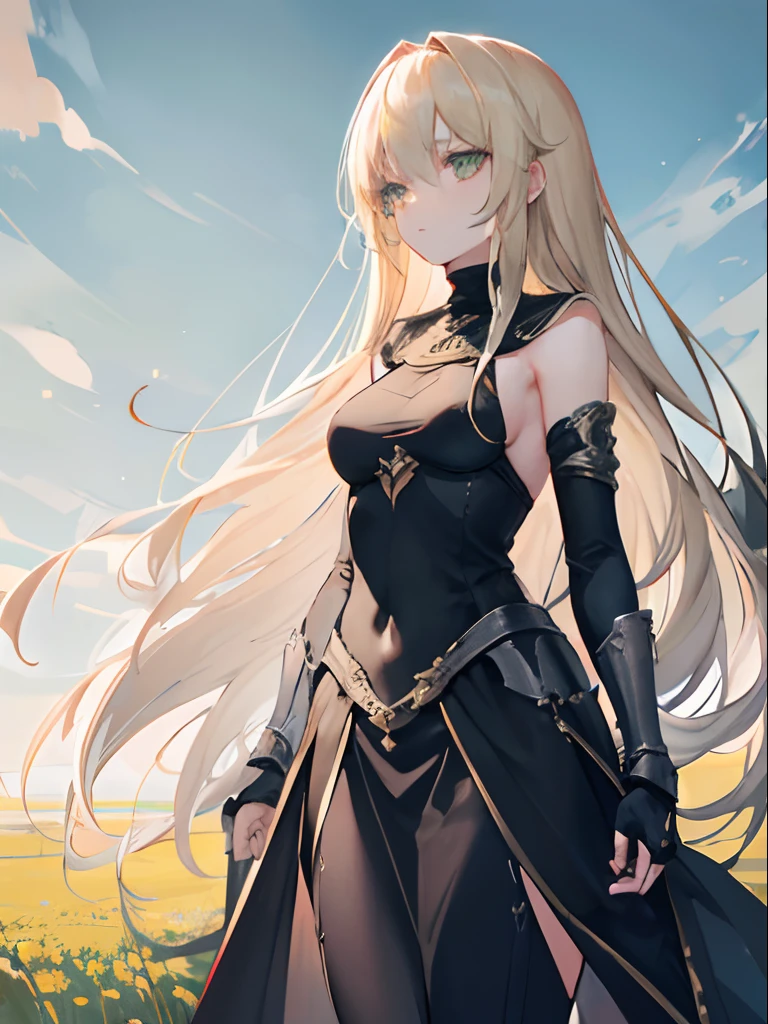 1girl, blond long messy hair, green eyes, built but slim body, wearing long black monk dress, wearing silver gauntlets, looking off into the distance, in a open field, high res, ultrasharp, 8K, fantasy