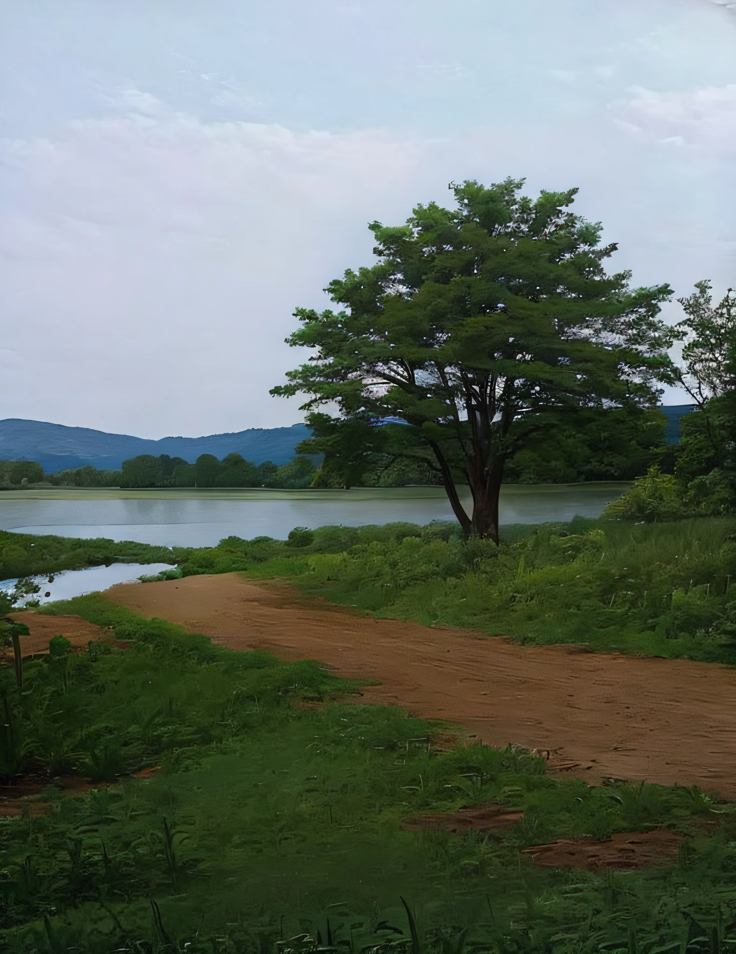There was a small boat sitting on the grass, Lake in the background, next to a small river, river in the background, near a small lake, near pond, next to farm fields and trees, the photo was taken from afar, close river bank, it has a lake in the distance, river with low hanging plants, perto de um lago