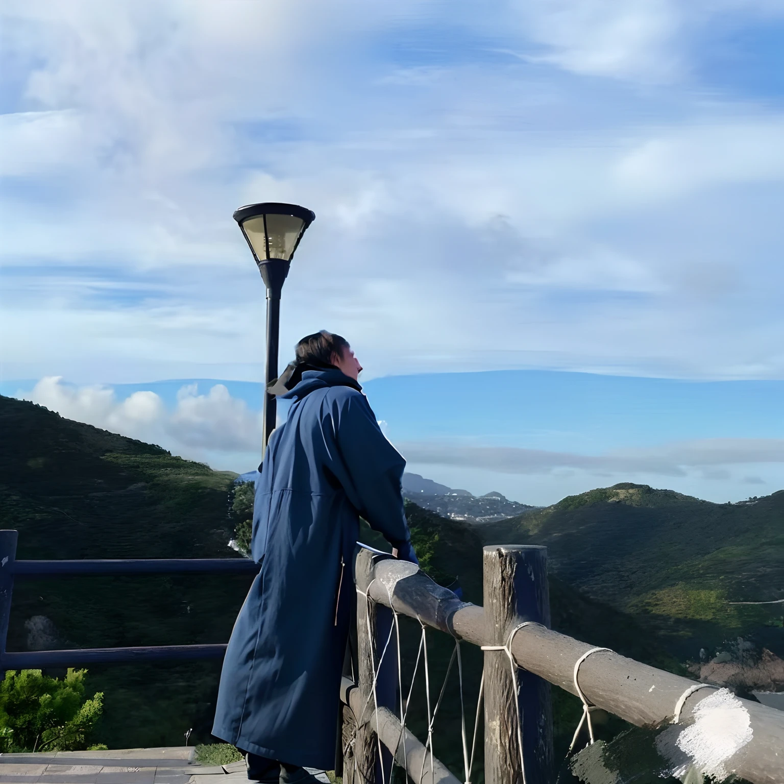 A man looks at the mountains，One hand on the fence。Back Shadow