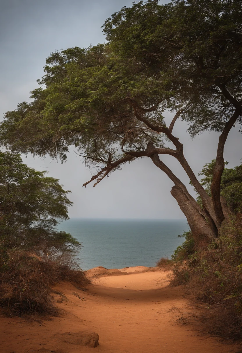 , Afrique, Angola