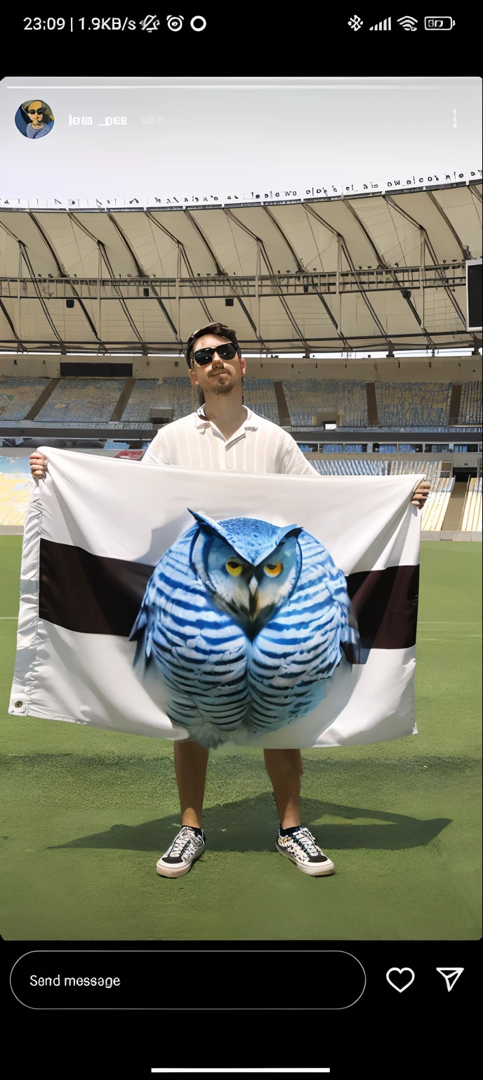 Blue owl