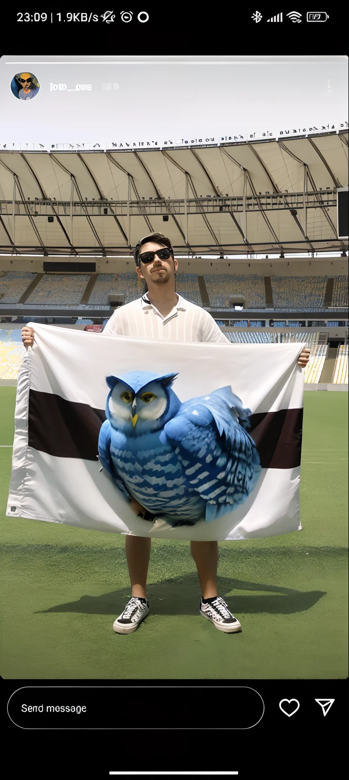 Blue owl, logo university of Chile football club