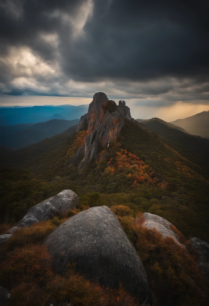 Lobo de yucom em cima de uma pedra grande pelagem escura