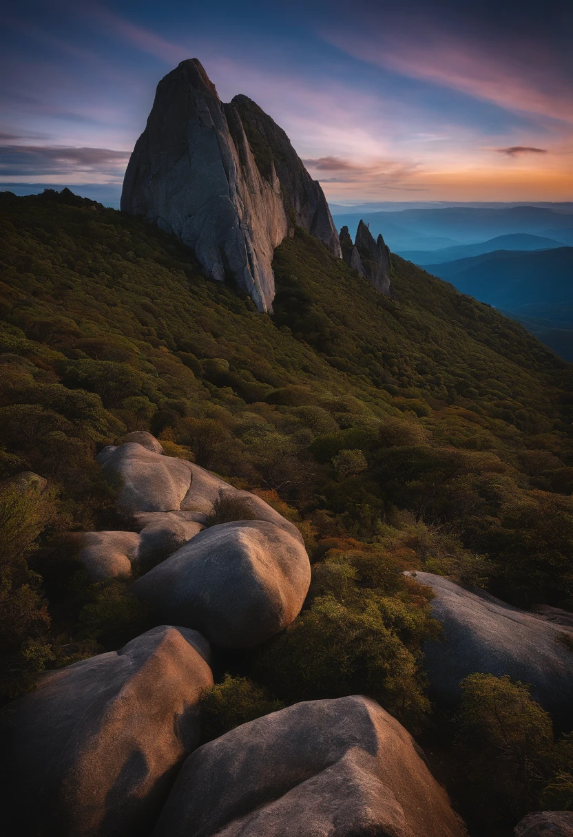 Lobo de yucom em cima de uma pedra grande pelagem escura