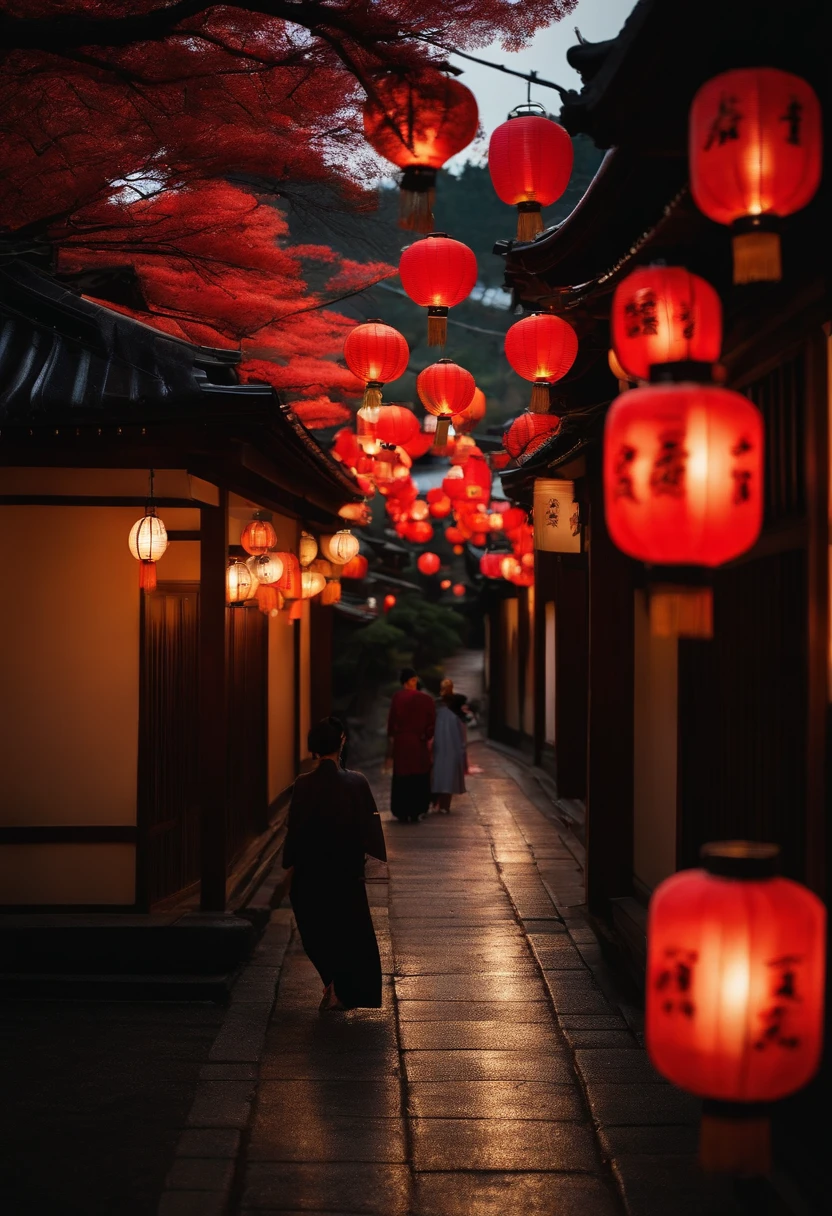 Rejoicing nurses,Beautiful Japan,Kyoto at night,Nurseman letters on lanterns