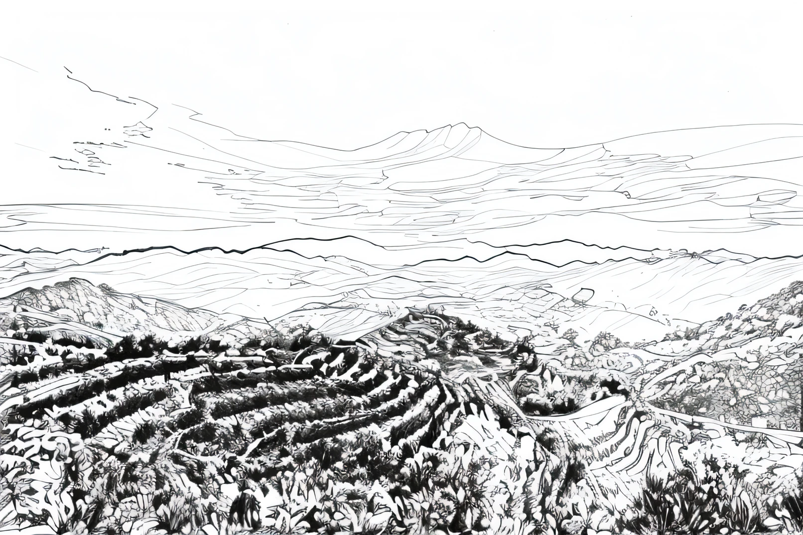 Extract line drawings,To line the drawing