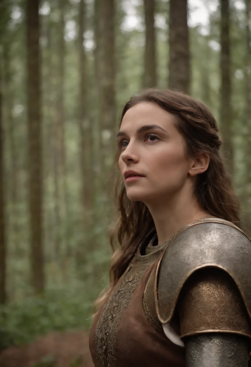 Joana d'Arc com o seu exercito em 4k
