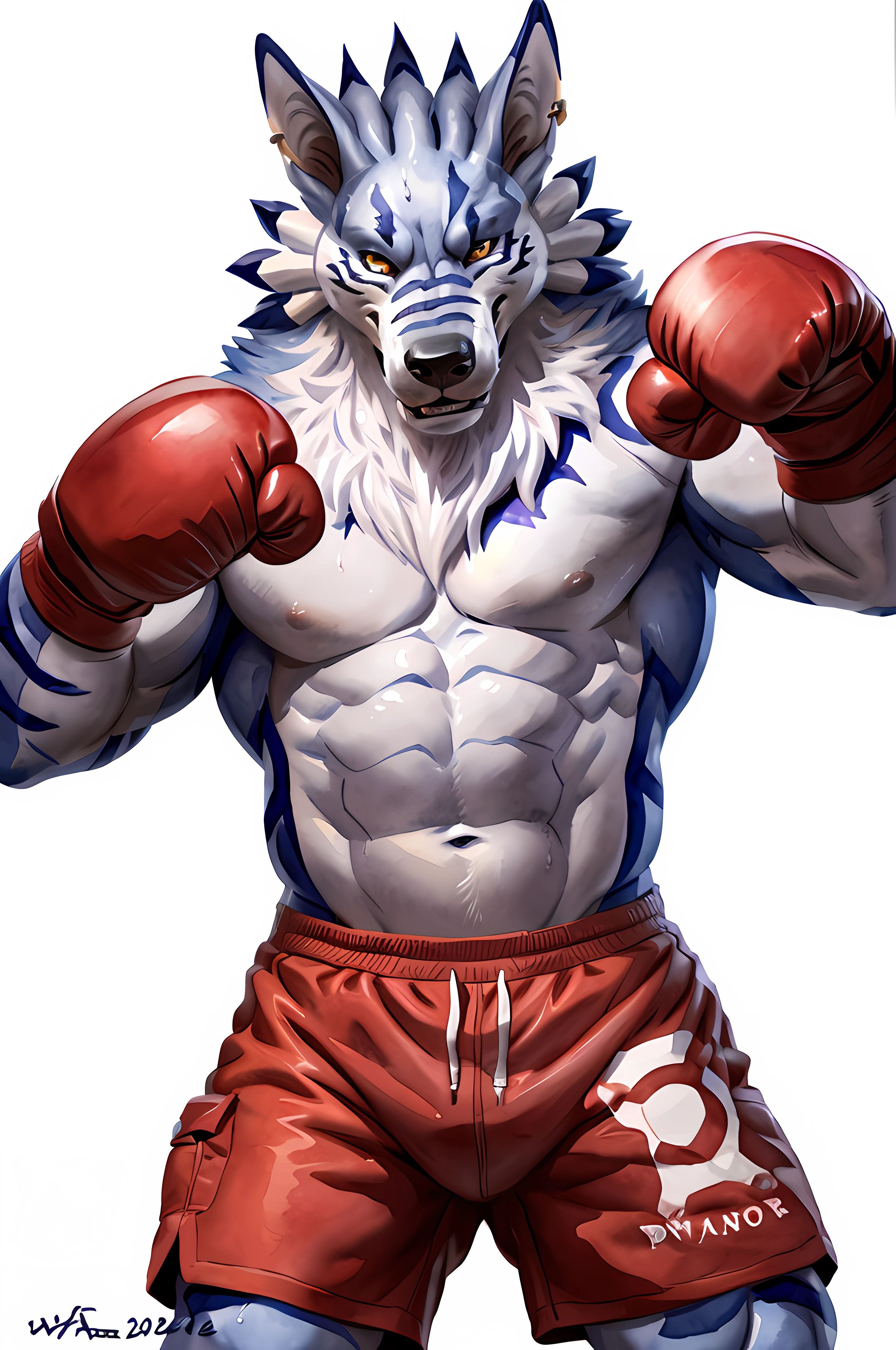 weregarurumon, posing for the camera, wearing boxing gloves. 4k, high resolution, best quality, posted on e621, (solo:1.2), anthro body, male, mane, adult, masculine, (athletic, muscular, heavyweight:1.2), correct anatomy, (white background, no background:1.4), (by wfa:1.2), (by chunie, by Taran Fiddler:0.8), (detailed eyes:1.2), sexy, (cel shaded:1.2), cartoony shading, (watercolors:1.2), (wolf tail:1.2), (full body:1.2), cocky smile, single lowered brow, (boxing gloves:1.1), (boxing trunks:1.1), (looking at viewer:1.2), bright eyes, (sweat:1.2)