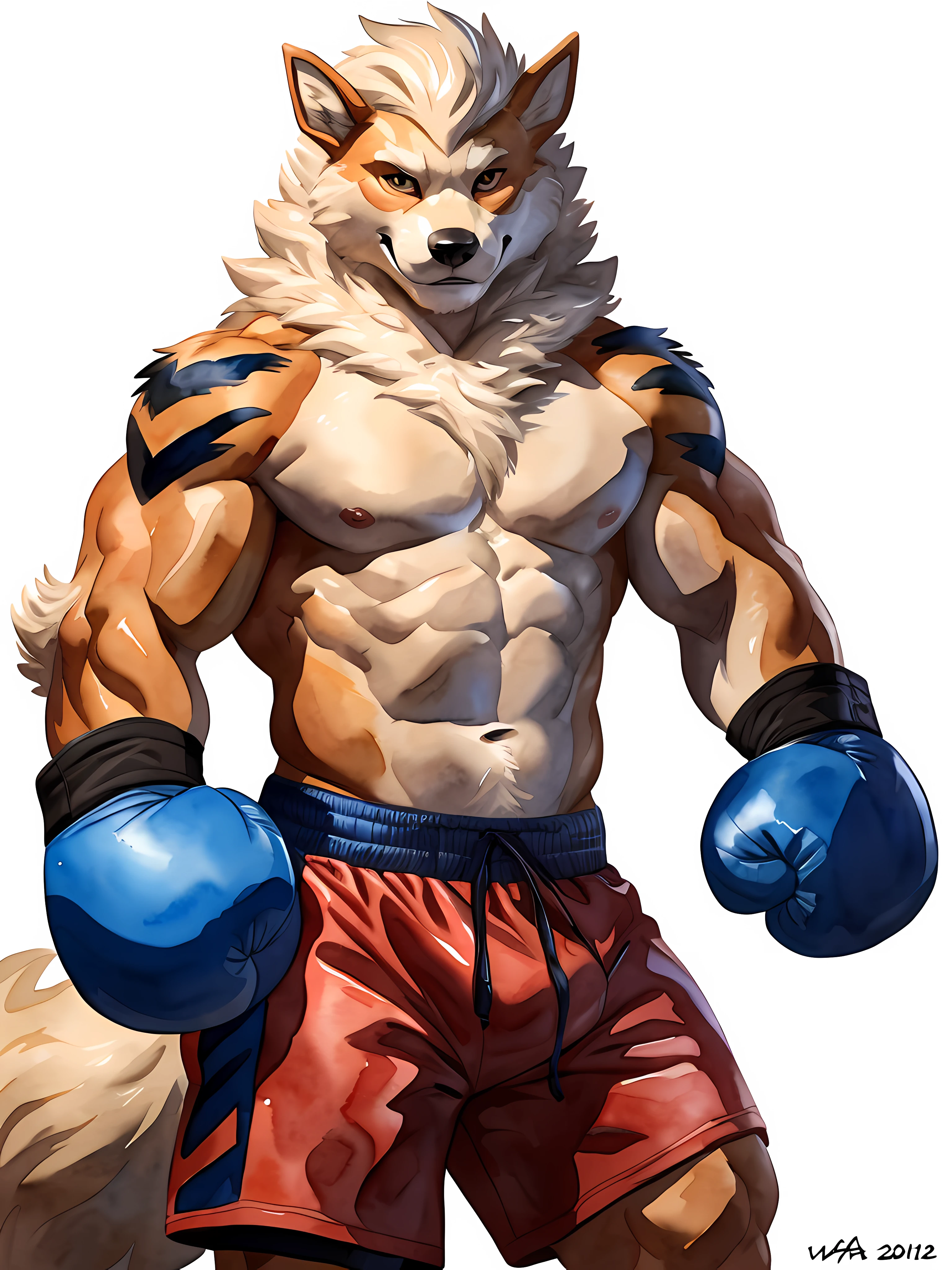 anthro Arcanine, posing for the camera, wearing boxing gloves. 4k, high resolution, best quality, posted on e621, (solo:1.2), anthro body, male, mane, adult, masculine, (athletic, muscular, heavyweight:1.2), correct anatomy, (white background, no background), (by wfa:1.2), (by chunie, by Taran Fiddler:0.8), (detailed eyes:1.2), sexy, (cel shaded:1.2), cartoony shading, (watercolors:1.2), (fluffy tail:1.2), (full body:1.2), cocky smile, single lowered brow, (boxing gloves:1.2), (boxing trunks:1.2), (looking at viewer:1.2), bright eyes, front view