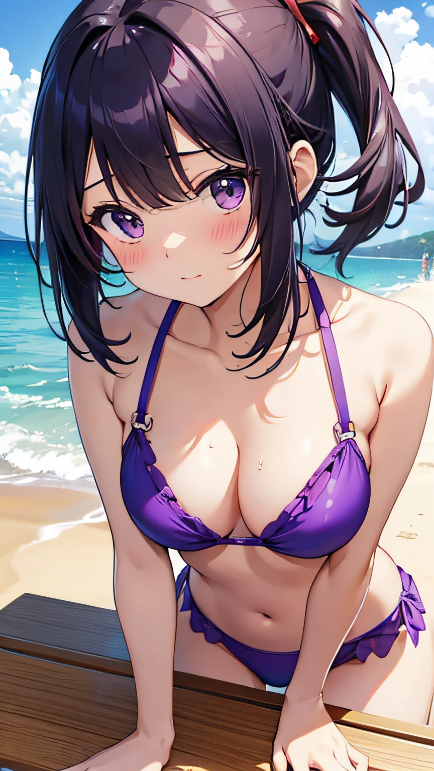top-quality、masterpiece、Kawaii Girl、Purple Bikini、all-fours、Looking at the camera、the beach、red blush、Kamimei