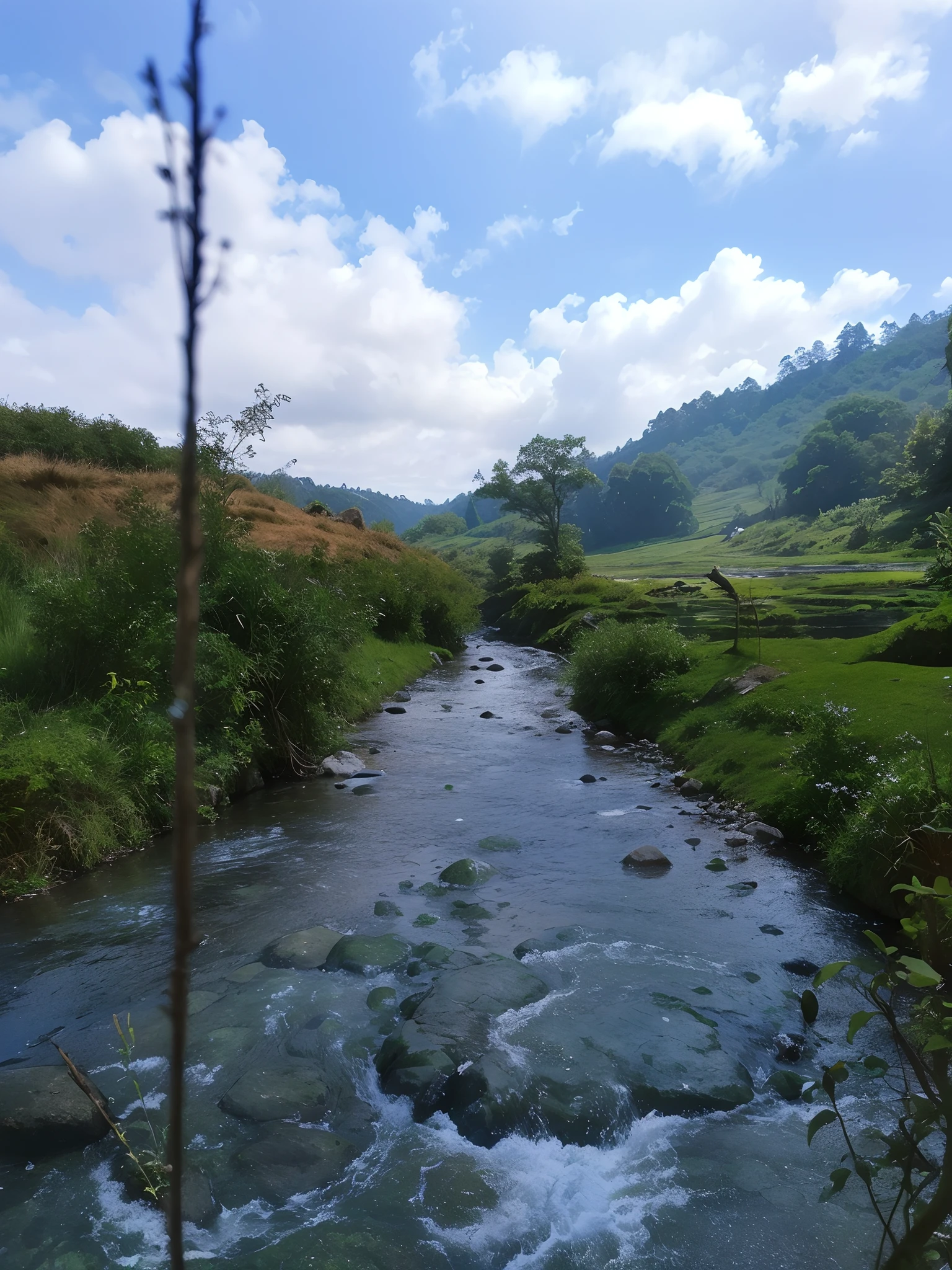 A small river meanders through the woods into the distance. The river is crystal clear, and the mirror-like surface of the water shimmers silver in the sunlight. The fish in the water swim happily. The little crabs in the water are crawling between the stone crevices with large pincers, which looks particularly majestic.