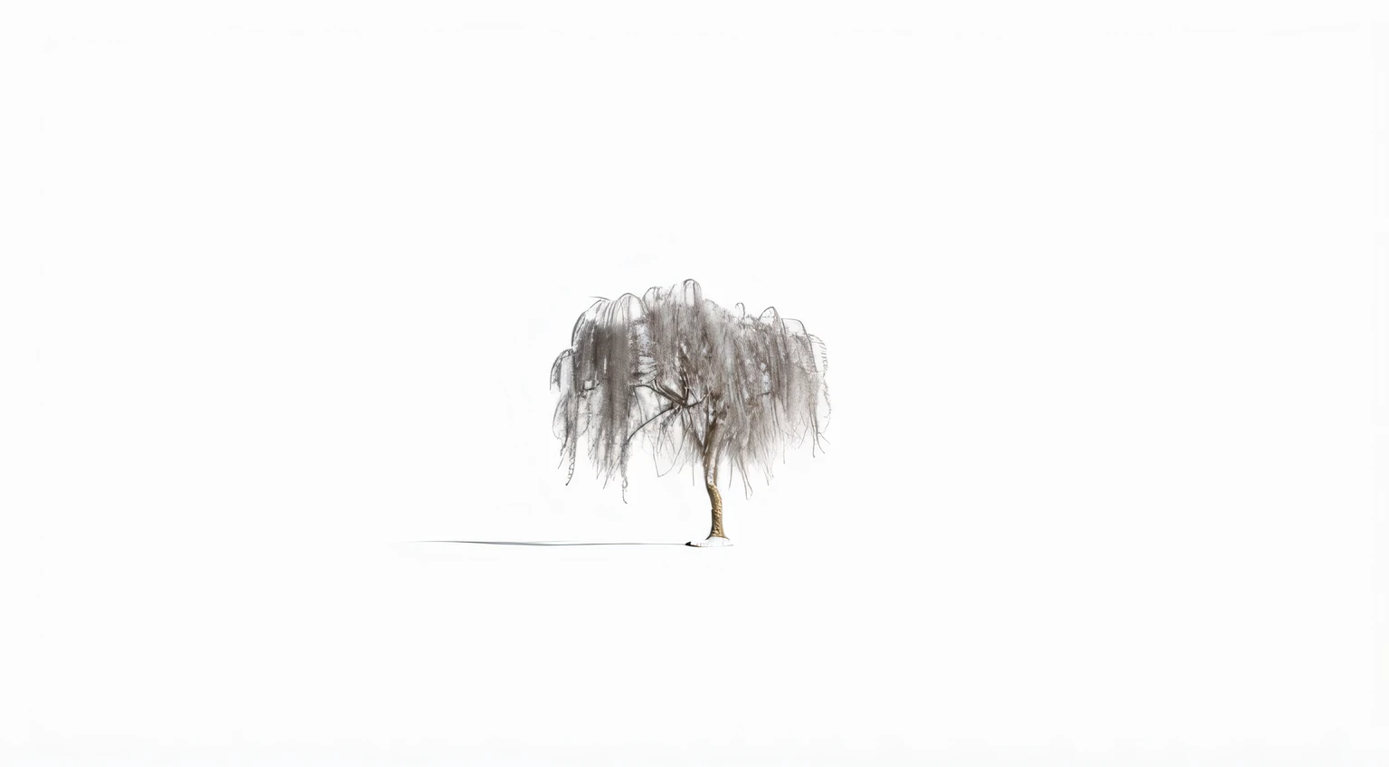 single willow tree in a white abyss