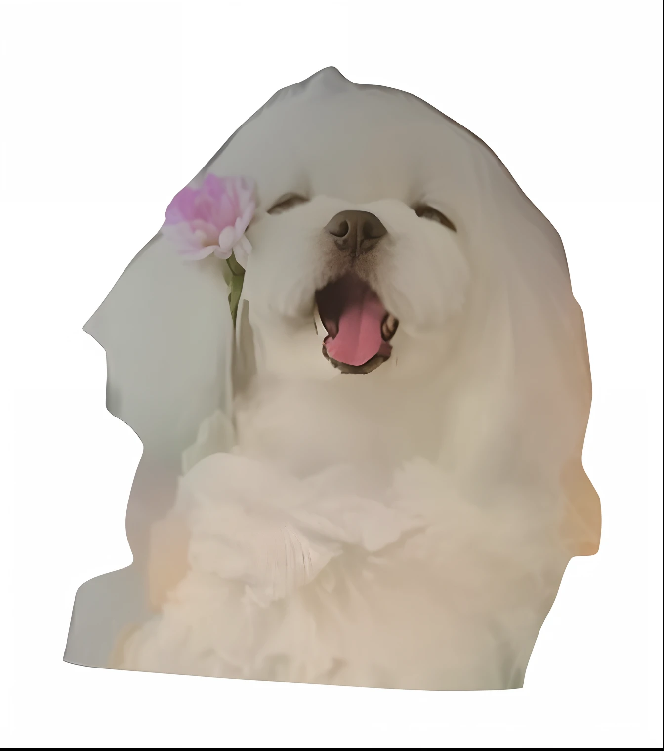 Aravis with a flower in his hair and a white dress, very very low quality picture, low quality photo, morphing dog head, kawaii cute dog, Cute dog, without text, twitch emote, an ai generated image, transparent ghost screaming, very accurate photo, poofy, made of lab tissue, meme template, blurry image, Red Dieter meme