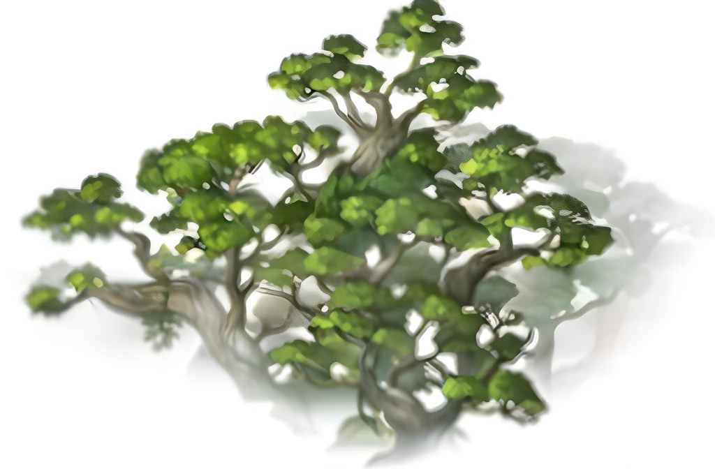 Close up of bonsai tree on white background, stylized vegetation, props containing trees, game asset of plant and tree, Sparse vegetation, ent treant dryad, ingame image, forest setting, treant, verdant forest, speedtree, Detailed forest, ancient wood environment, some trees, overgrown forest, ln the forest, a lot of tree