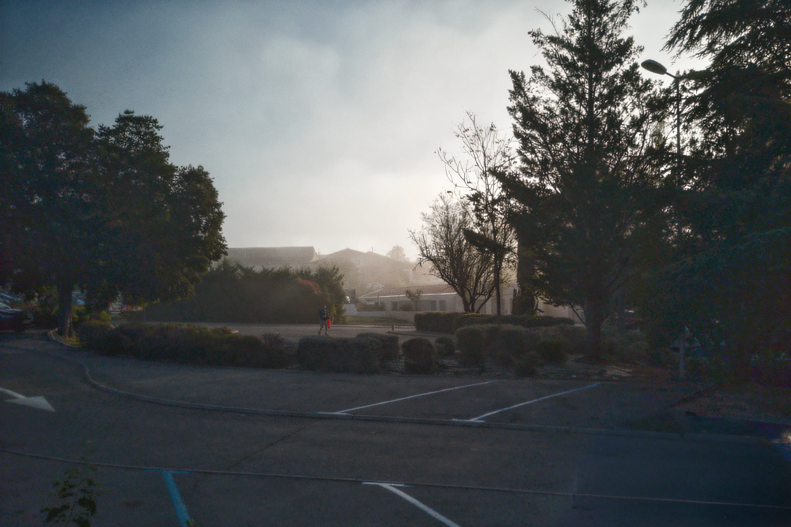 Photography by stephen shore.