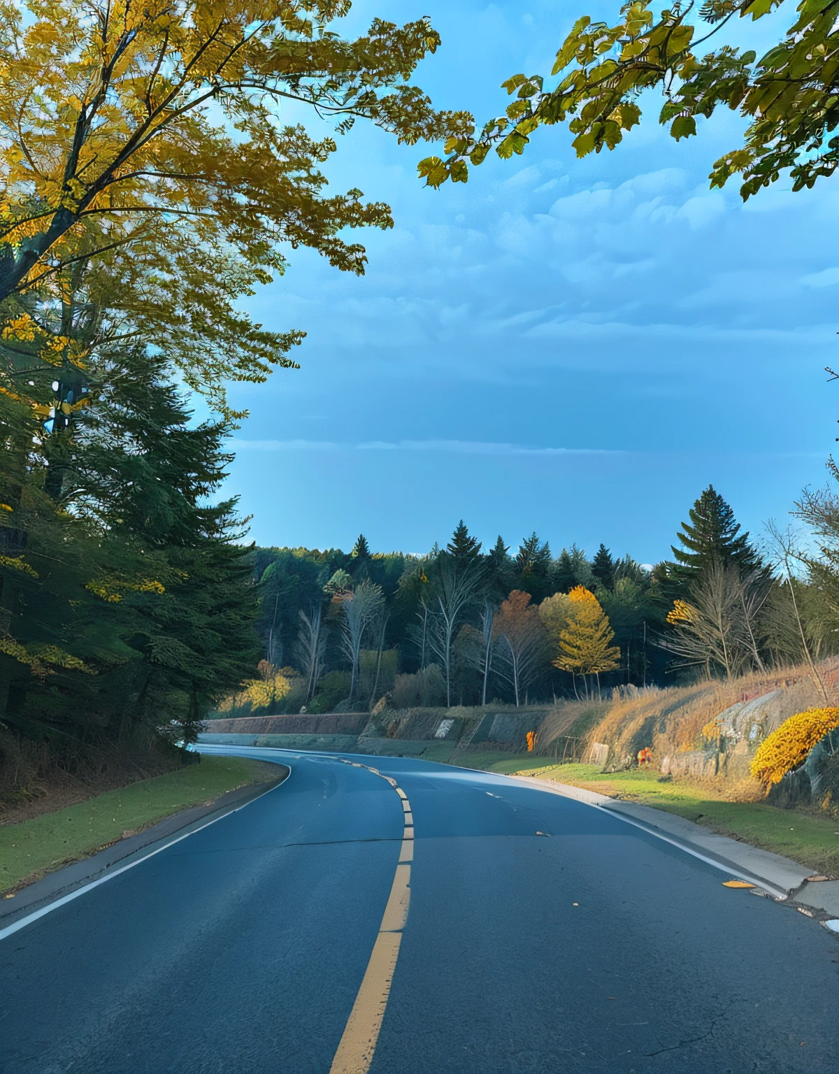 autumnal，exteriors，blue-sky，highways，the woods，NOhumans