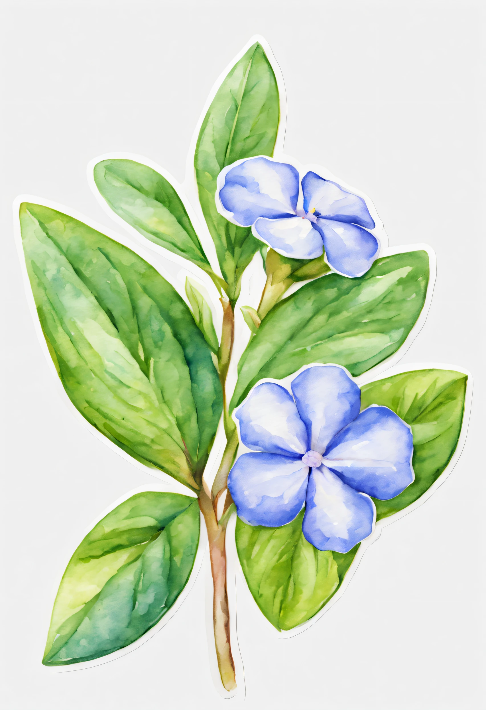sticker of Periwinkle flower,isolate,watercolor,pastel shade