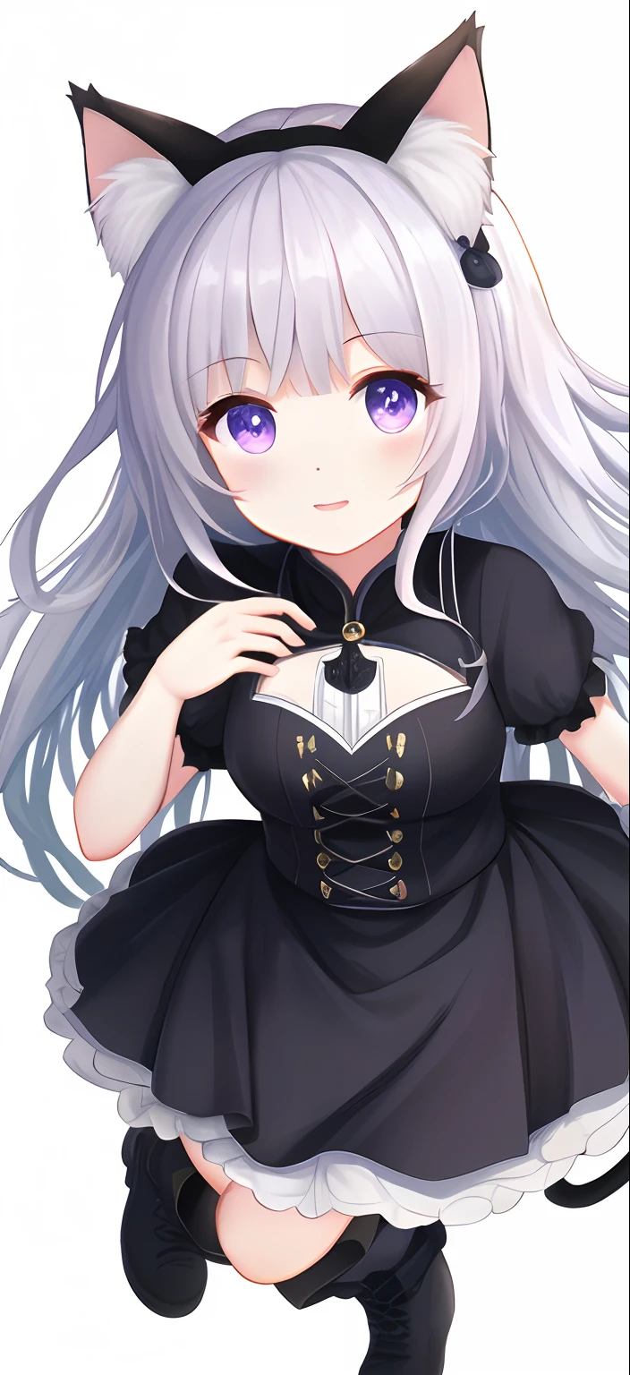 (​masterpiece、high-level image quality、hight resolution、Top image quality)、full body Esbian、girl with、Purple eyes、white  hair、Long、Black Dress、minidress、frilly dress、Black boots、A sexy、Cat's ears、front facing、rearing、White background