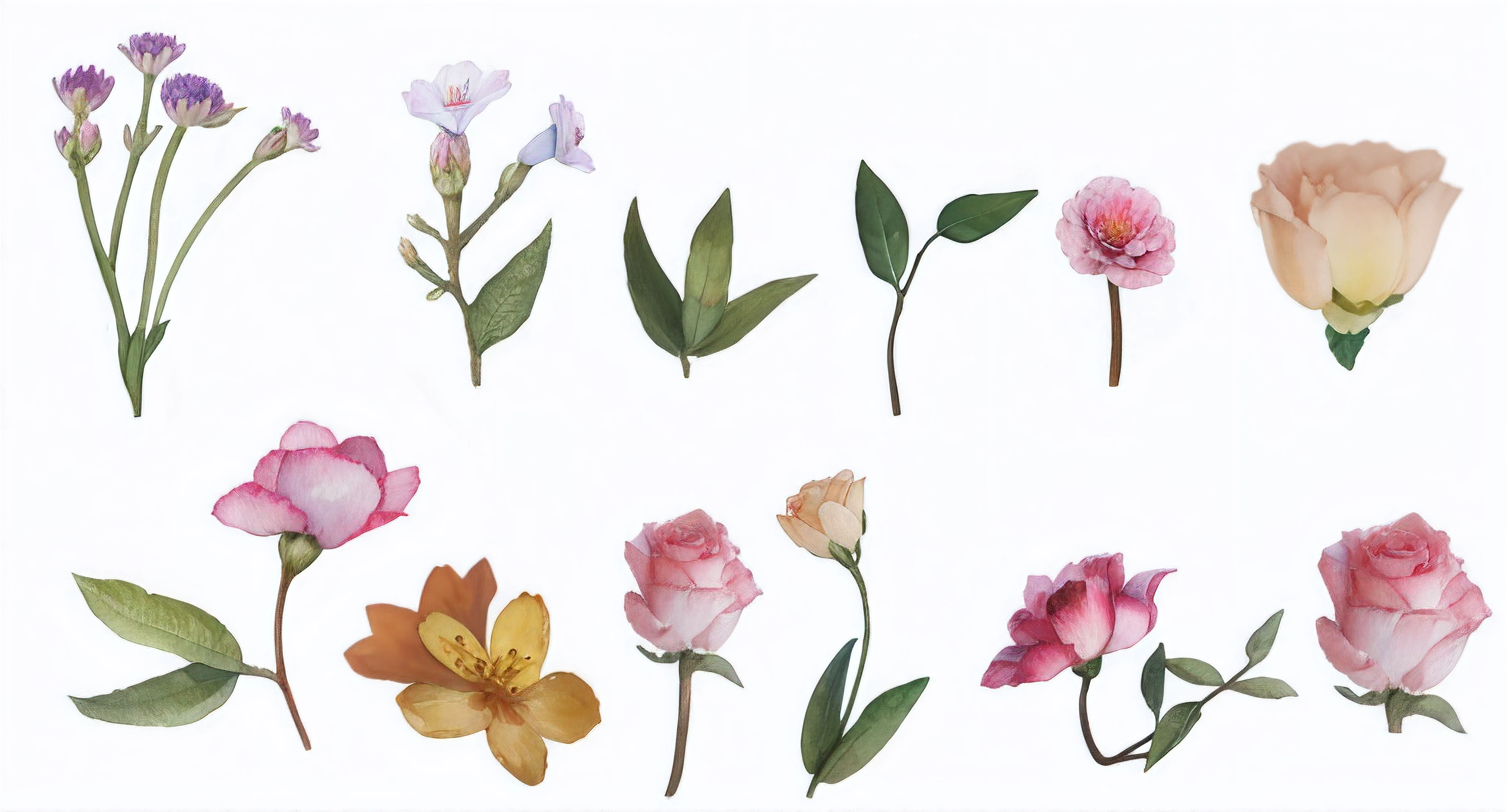 There are many different flowers that are on a white surface - SeaArt AI