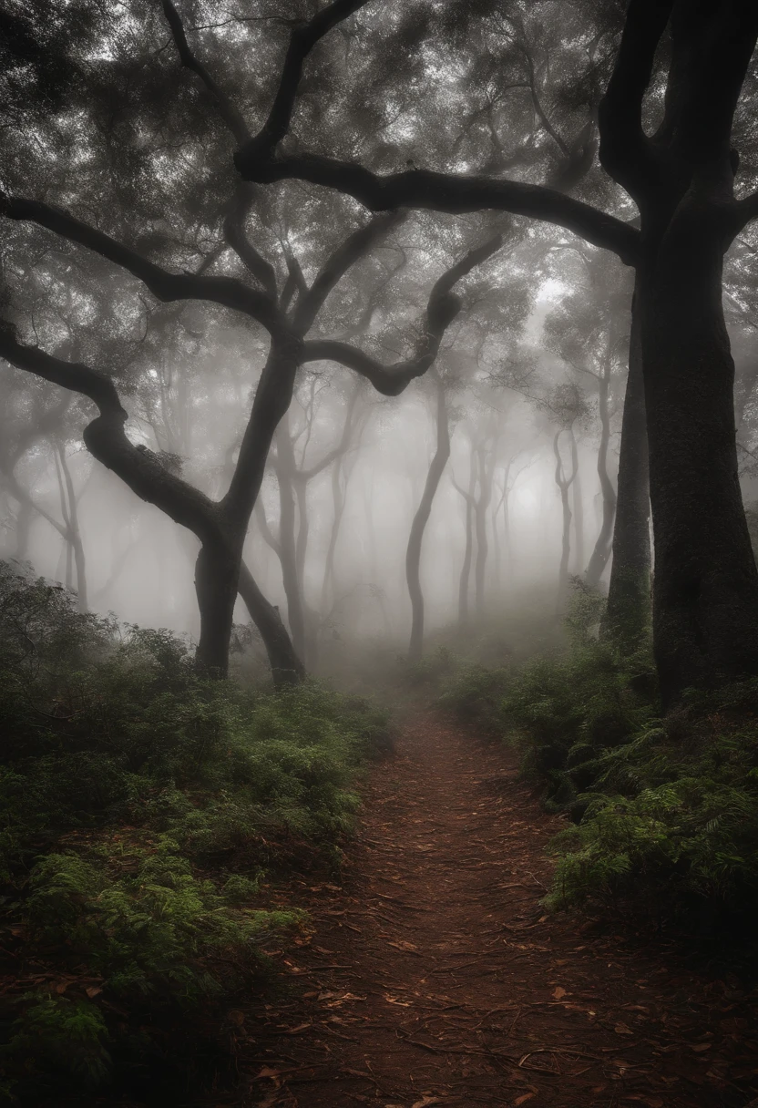 Floresta escura, Filtro preto e branco, ultra qualidade, high saturation, neblina, trees with dry branches, um cavaleiro, andando, back vision,  carregando sua espada nas costas.