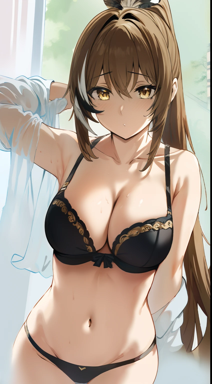 2D, HD, Detailed details, Detailed landscapes, beautiful lights, Beautiful Shadows, top-quality, Highly detailed, masterpiece, best quality, solo, 1girl, aamumei, very long hair, ponytail, ahoge, multicolored hair, feather hair ornament, hairclip, hews, hews styled, brown hair, looking at the viewer, anime-styled, (large breasts), blush, navel, armpit, hand over head, shiny skin, bra, panty, underwear