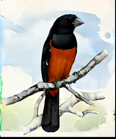 there is a bird that is sitting on a branch of a tree, an illustration of, illustration], An illustraion, illustration, naturalistic illustration, paralelo, bico preto longo e espesso brilhante, artists rendition, illustration", bico arredondado, ophanim has bird wings, um ombro largo, avian, sharp foccus ilustration, anthropomorphic bird