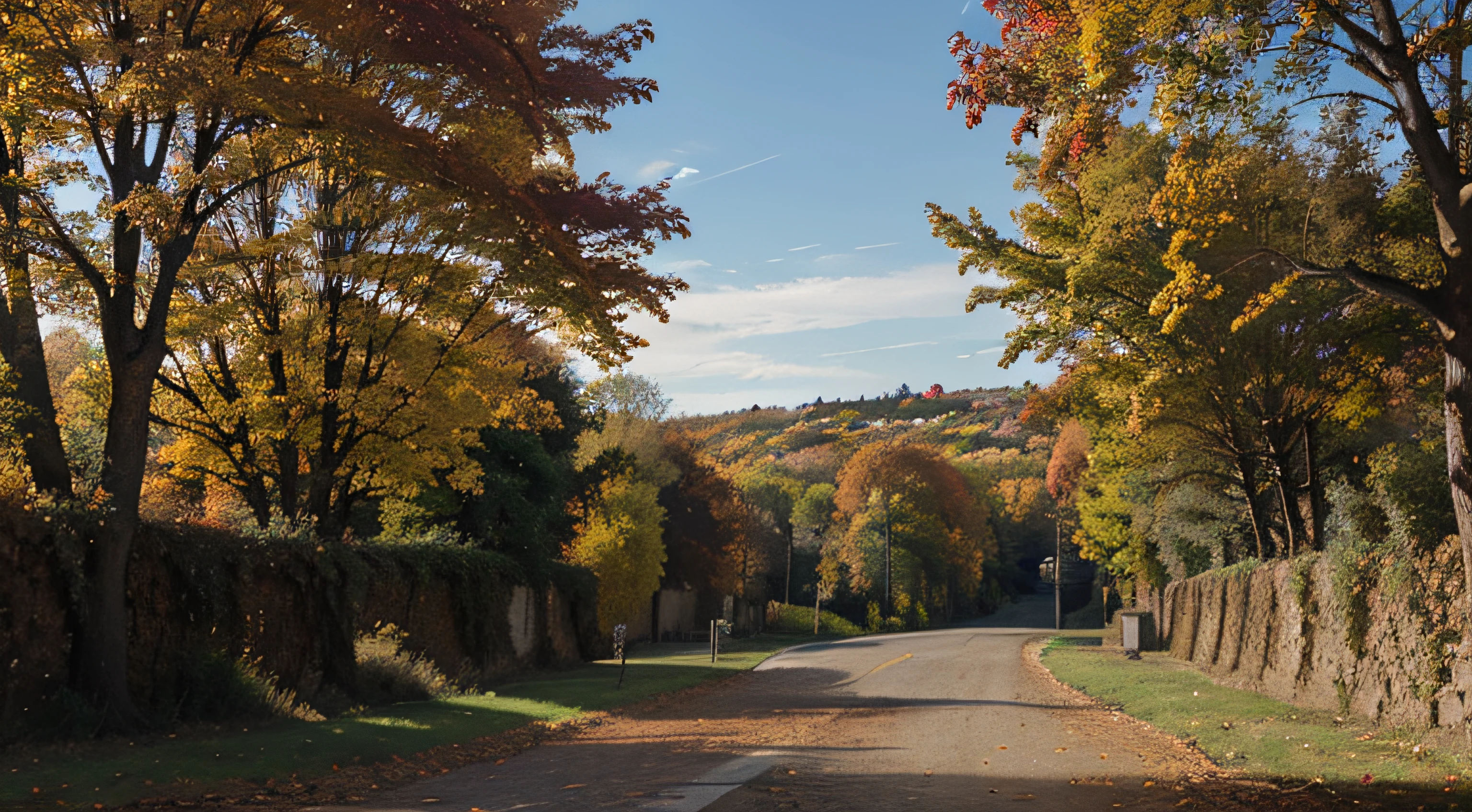 autumn landscape