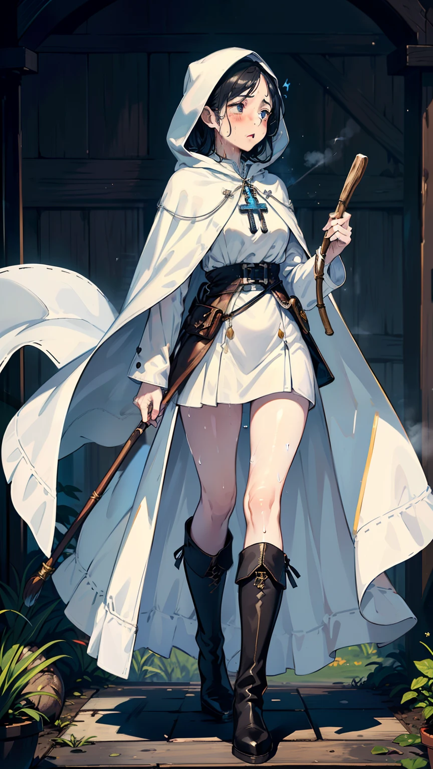 masterpiece, ultra detailed, 8k portrait, RAW photo, portrait photography, highly detailed face, ((Fantasy)), 1 woman, (((priest))), laugh heartily, standing with hands on hips, (((Error-filled face))), 33 years old, (((single mother))), (((((Smells sweat))))), (((small eyes))), (((straight black hair))), ((long sideburns)), (((white skin color))), ((white and blue line long tunic)), (((hooded white long cloak))) fluttering in the wind, hair ornament, (((little waist hip pouch))), (((black leather boots))), (((holding a long wood cane))), Midday Sun, hyper realistic, flat breasts, big butt, Long legs, in the medieval adventurer's guild, Ambient lighting, Shadow details , Camera focus on thigh, strong breeze, Light fog
