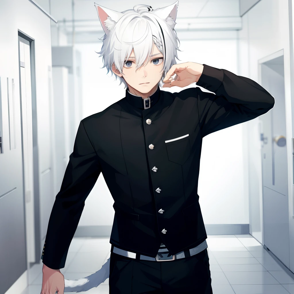 1boy, White hair, black eyes, cat ears, facing forward