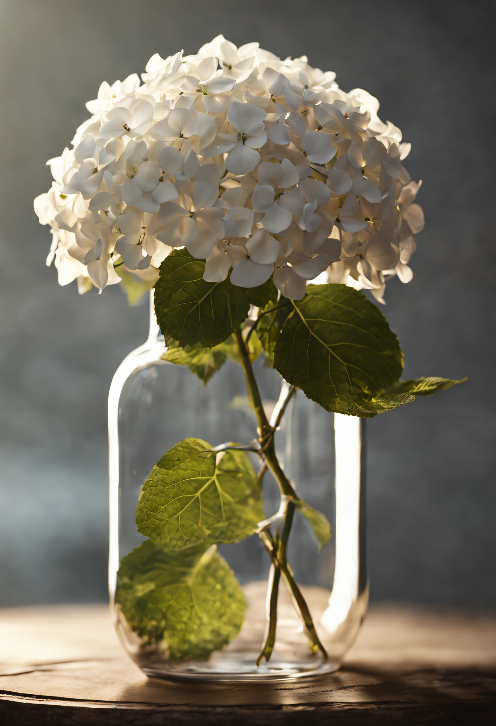 dreamlikeart white hydrangea in a bottle, opulent, realistic, photo, canon, colorfull leaves. hyperdetailed photorealism by greg rutkowski - h 1024 w 804 | f 1 6 lens mark 2:2 s 3555 mm film grain :1 lifelike high res sharp focus contrast!! intricate detailed atmospheric light refraction lighting unreal engine 5 cinematic concept photography masterpiece octane render trending at cgsociety rendered as