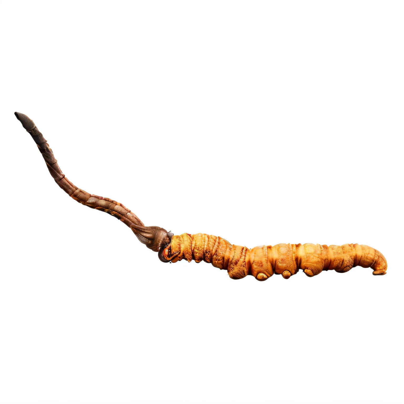 There is a long horn,There is a long horn on it, worms, Scorpion whip, Scorpion tail, a hookah smoking caterpillar, long trunk holding a wand, single long stick, cocroach, oesophagus, Shepherd's liar, a digital rendering, Hastur, lit from the side, Invisible stick worm, To him, long chin