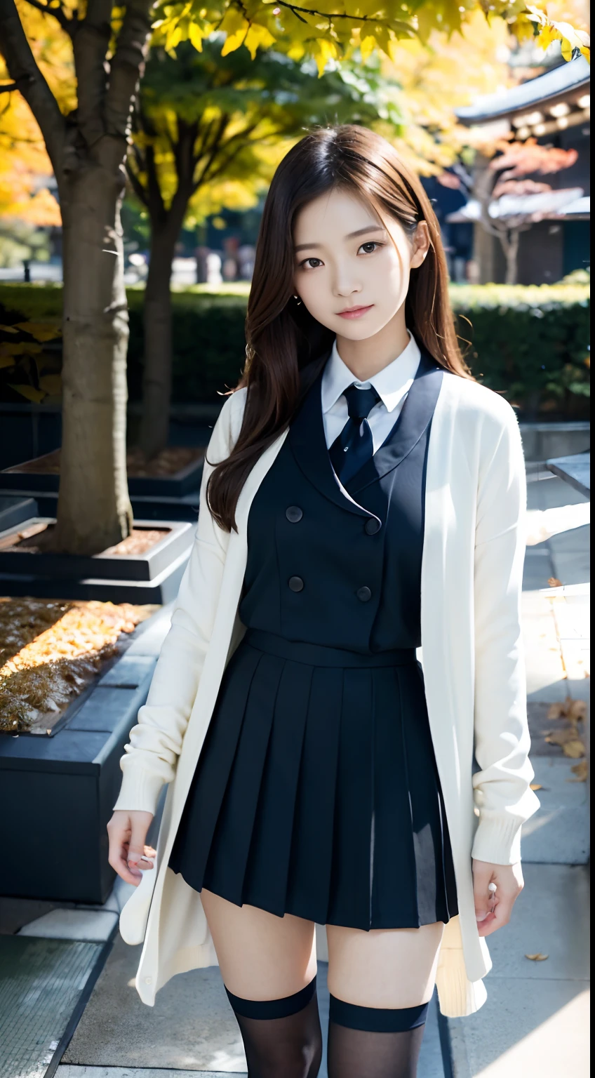 mix4, (16 K, Raw photography, Top image quality, ​masterpiece: 1.45), (realisitic, Photorealsitic: 1.37), one girls, Random hairstyle、Standing figure，Glossy bean peel、Morning time slot、a very cute,a park,Trees with autumn leaves, profetional lighting, photon maping、physically-based renderingt, Gradient dark brown hair,, a handsome, Well-groomed and beautiful eyes、Large double eyelids、Very shiny、girl with, (((校服、Winter clothes、Uniforms worn by Japan female students、White shirt、White cardigan、Dark blue color、Black mini skirt、high socks、lowfers))), Top Quality Photos, hight resolution, 1080p, (clearface), (Detailed face description), (Detailed hand description), (​masterpiece), (Exquisite CG)、extreme light and shadows、dishevled hair、master work、abundant detail、(Fine facial features)、(top quality photo)、(masuter piece)、(A detailed eye)、Looking at the camera、Fine clavicle、((Slender big))、(((Japan schoolgirl in uniform)))、((Ready Idol System))、((a park、Slide、The fountain、seesaw))、(((neat and cute)))、耳Nipple Ring、A big smile、Drawing the whole body from the knees、Do not draw nasolabial folds、(((Cute uniform)))、(Big breasts that hang down big:1.4)、Big buttocks with tension、Two arms and two legs、(((from the front side:0.2)))、bare hand、No mask、Ginkgo in autumn leaves