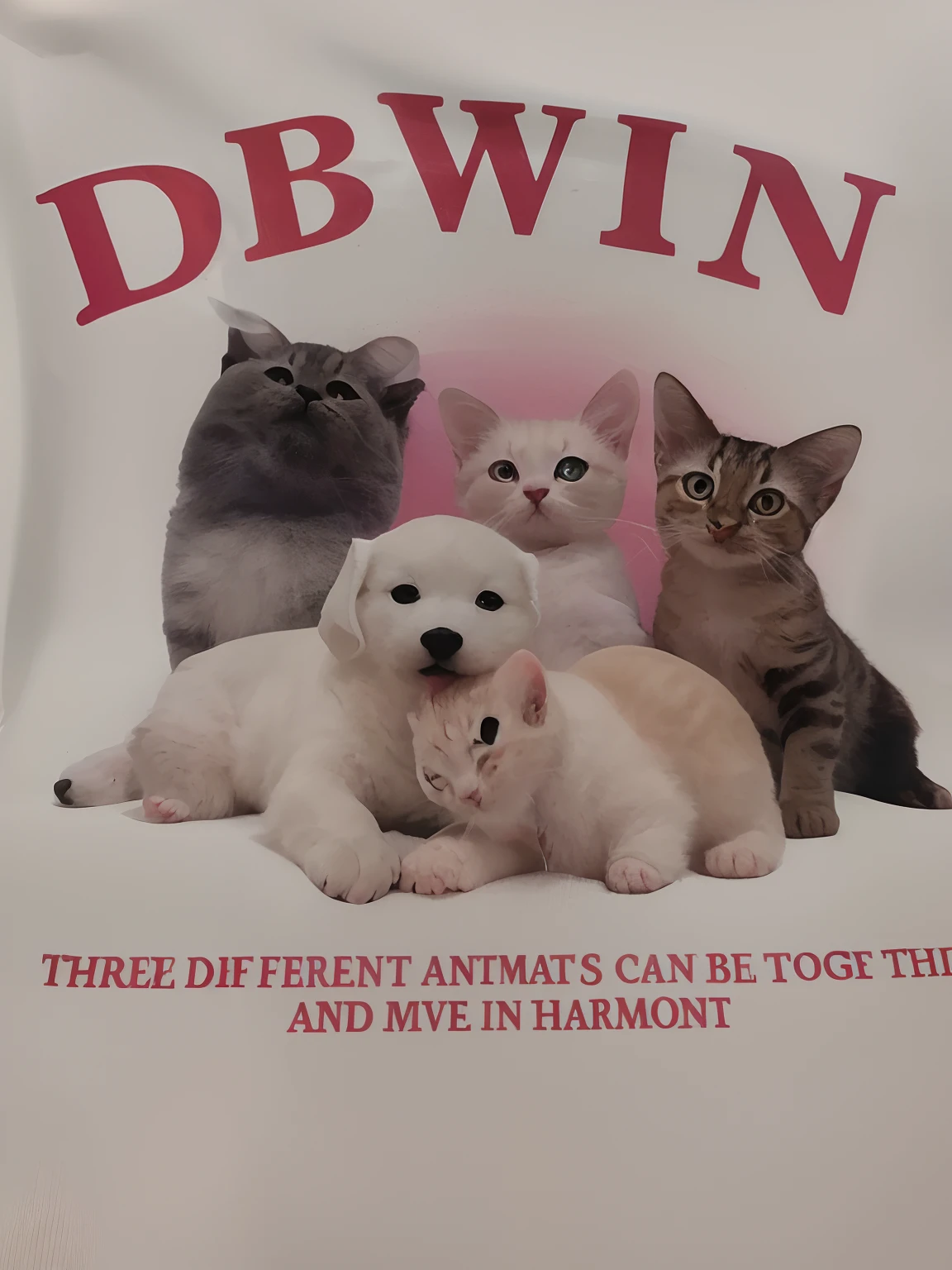 There are three different animals that can be together,Harmony, r/awww, three animals, awww, wearing a tshirt, awww, brilliant detail, an all white human, they are all laying down, human-animal hybrid, Different colors, wholesome, Kittens, Cute animals, animals wildlife, tee shirt!!, in blouse wearing, different sizes