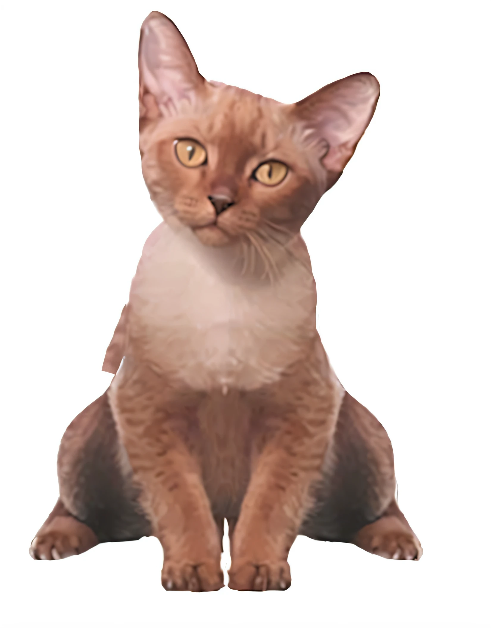 There is a cat sitting on white background, anthropomorphic female cat, tabaxi, aesthetic siamese cat, sphinx cat, sitting down casually, illustration of a cat, whole cat body, tabaxi male, human cat hybrid, cat design, with pointy ears, cat dog hybrid, an anthro cat, Sitting down