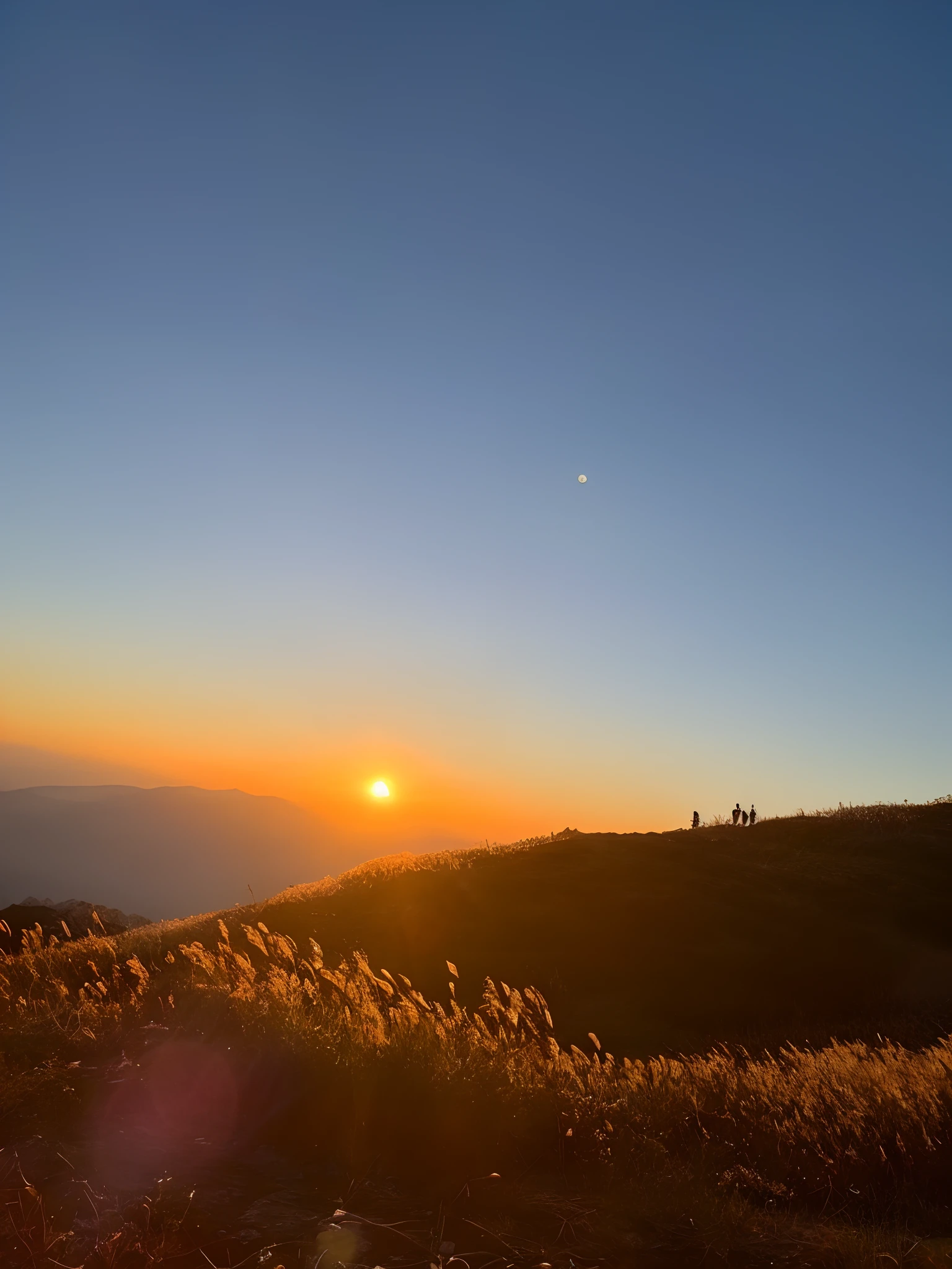 Alafis in the mountains,The background is sunset, With sunset, during sunrise, late sunset, with a sunset, The sun is setting, late sunset, Morning sunrise, it is sunset, The most beautiful sunset, golden hour time, mountains and sunset!!, sun is in the top, sunsettime, during dawn, At sunrise, Early morning sunrise