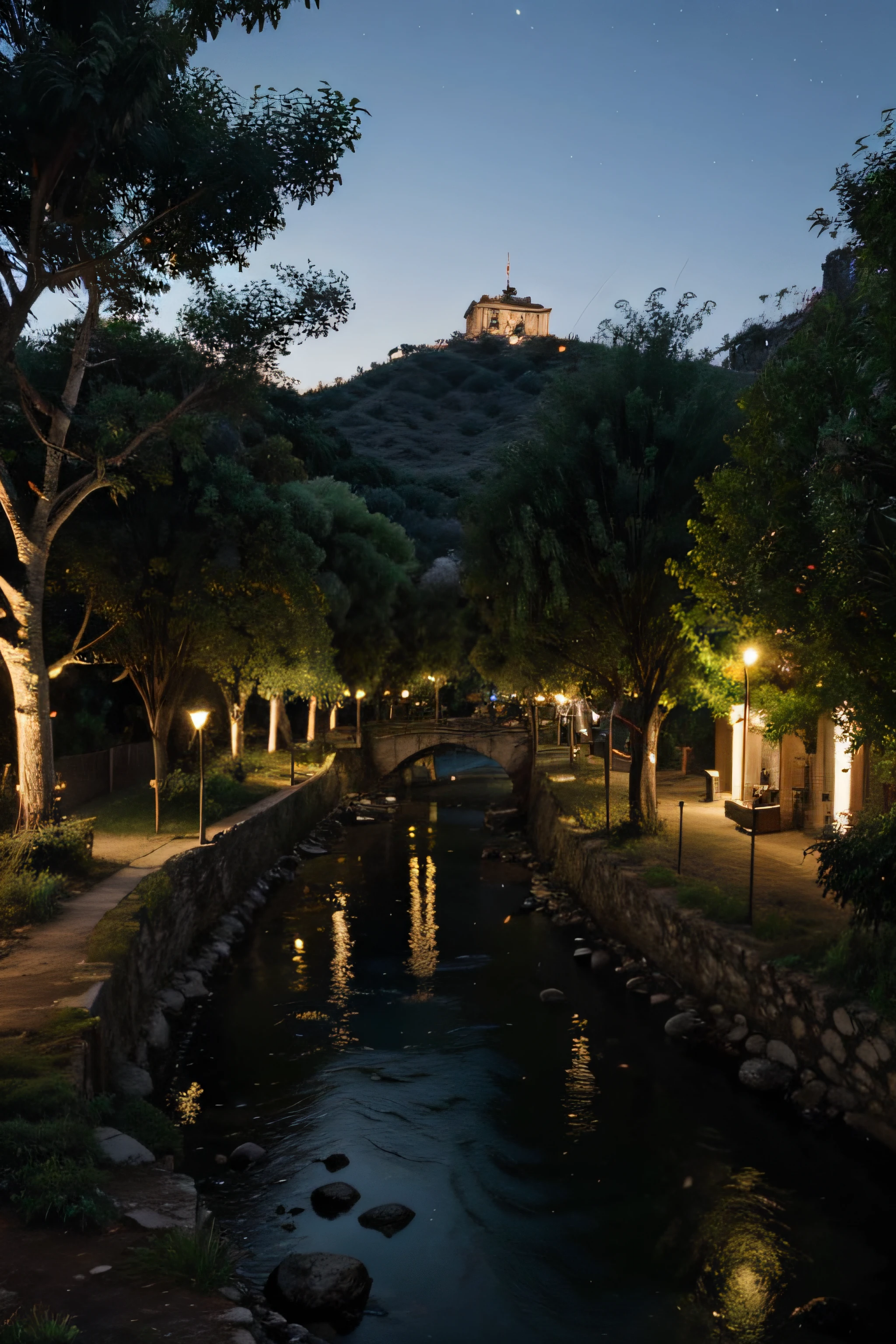 noche y arboles cerca del rio