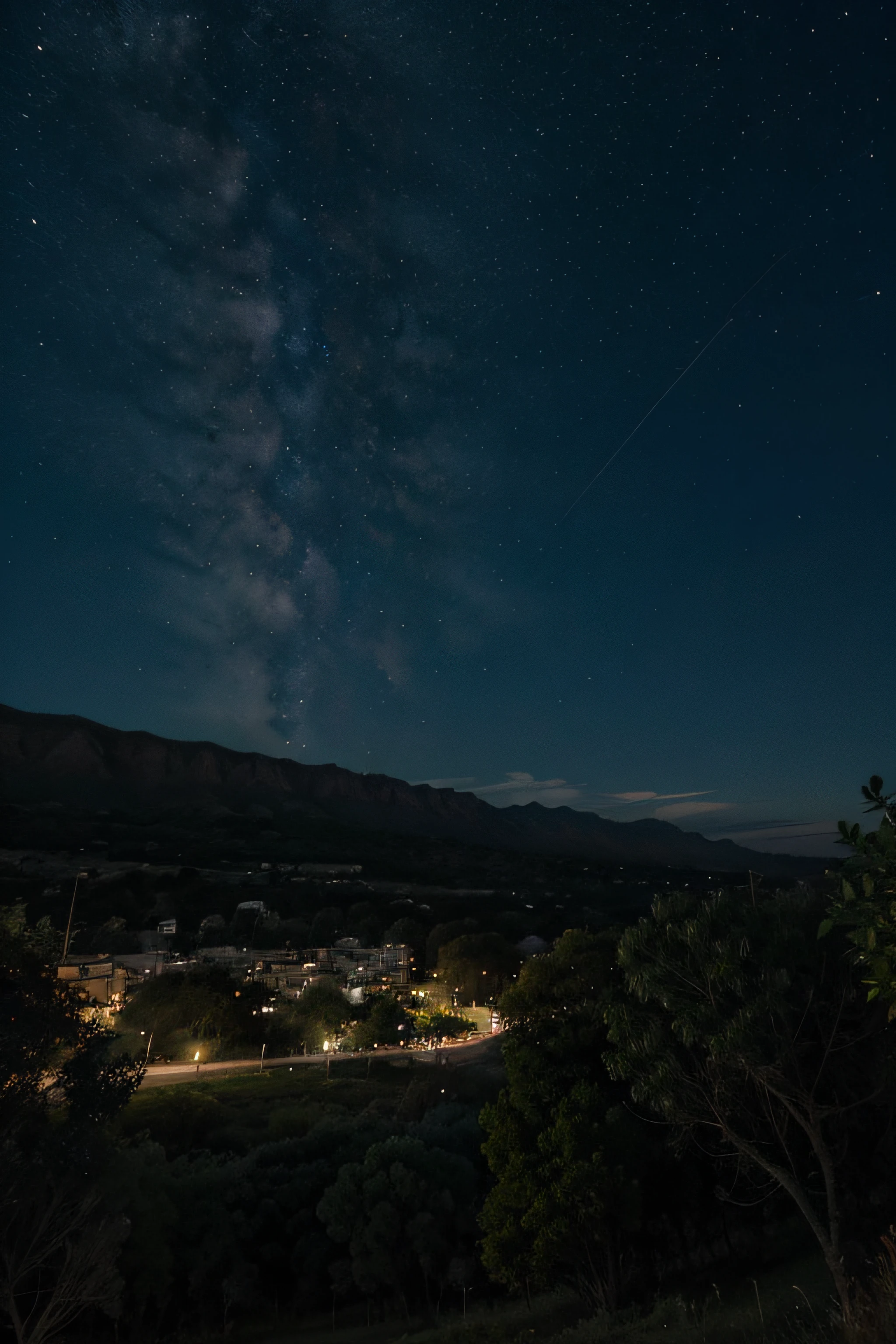 noche y arboles cerca del rio