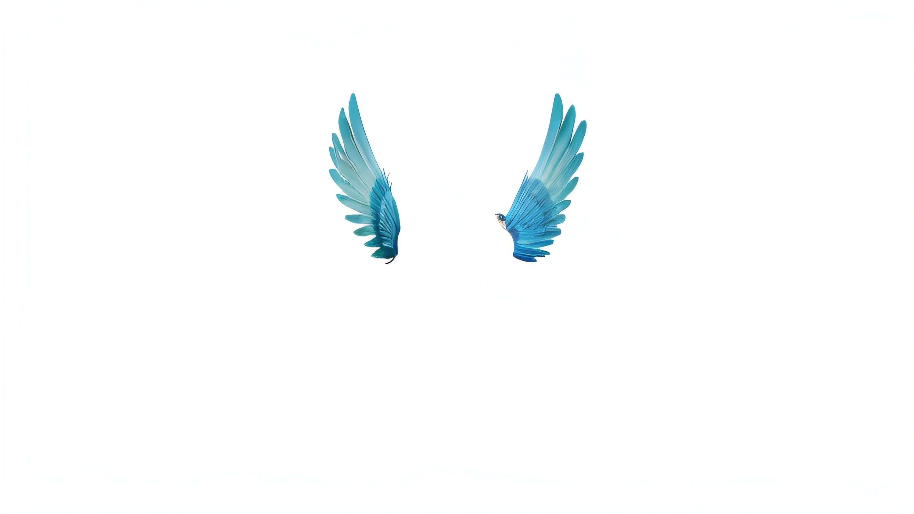 small wings, small wings with feathers, blueish, forearm-sized wings