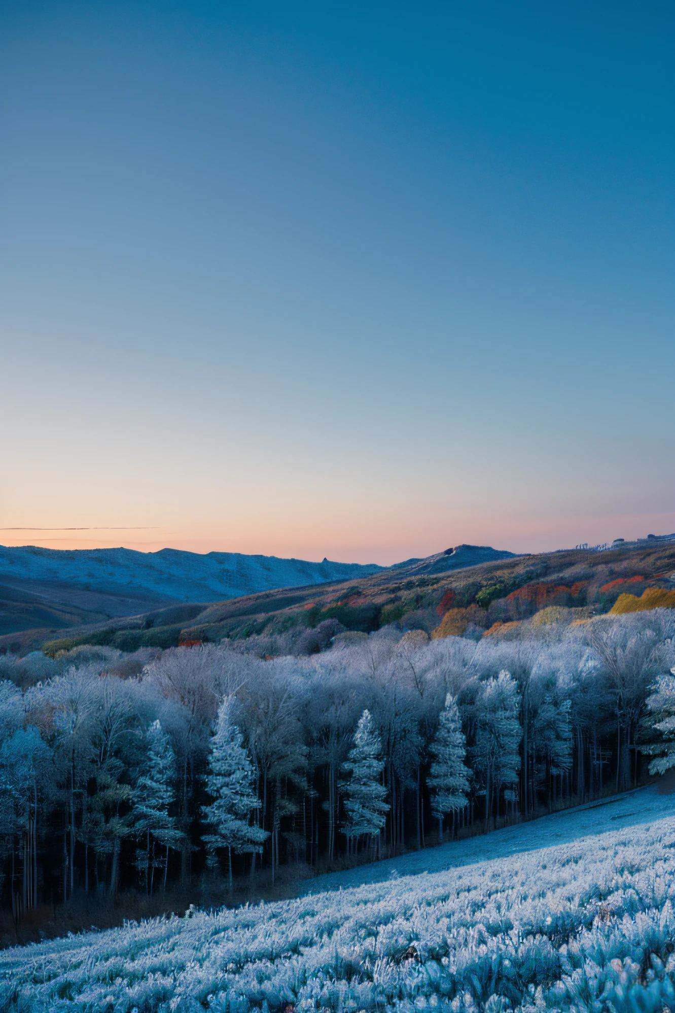 Late autumn sky，Frost，chilly，blue tint