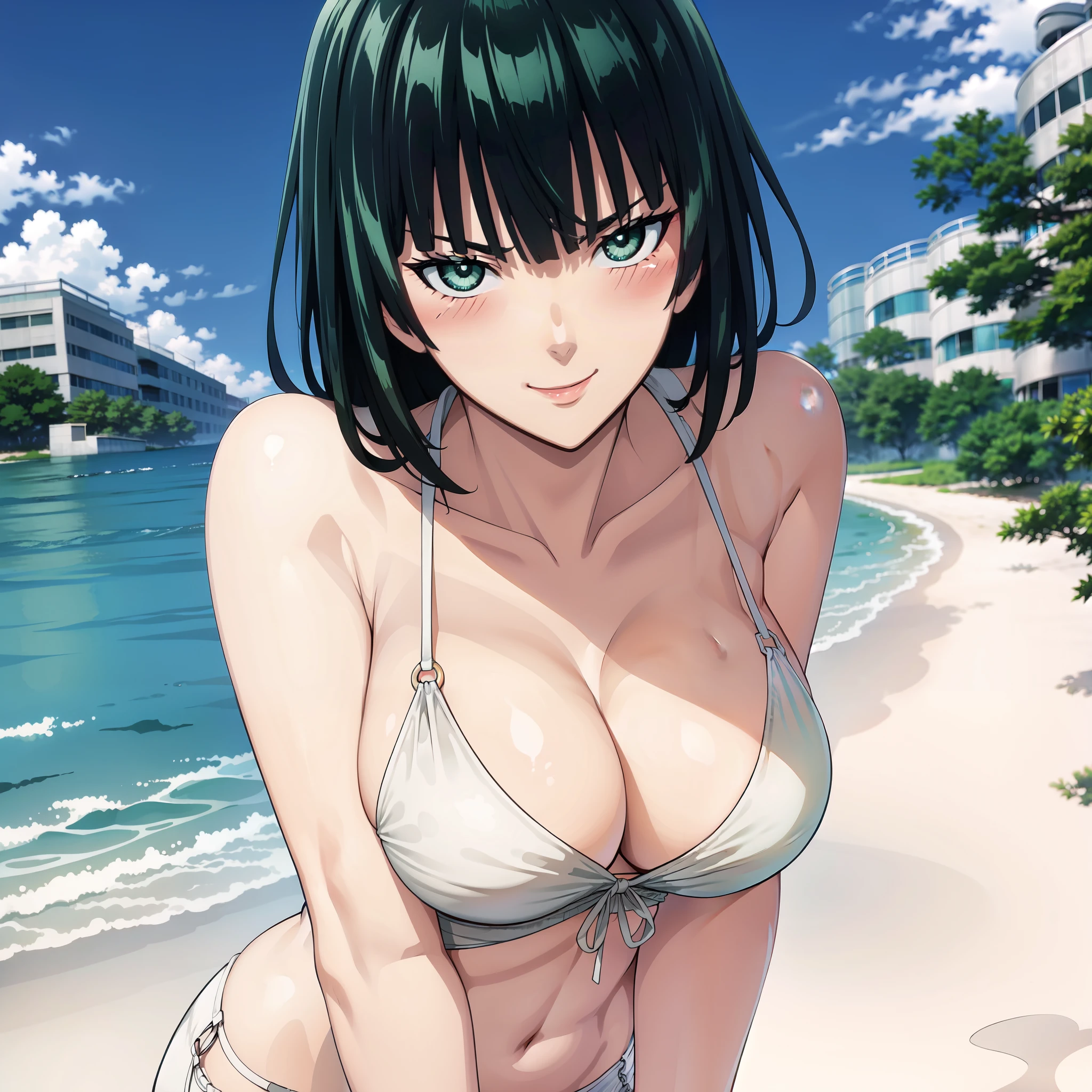 ((masterpiece)), (best quality:1.7), (detailed:1.4), (high res:1.4), 8k, (colorful:1.5), high resolution, sharped image, 4k, hd, (beautiful detailed background:1.2), (beautiful lighting:1.2), (highly detailed:1.2), perfect lighting, (8k wallpaper:1.2), (highly detailed:1.2), (extremely detailed CG:1.2), 2d, ((1girl)), solo, fubuki_opm, black hair, green hair, green eyes, short hair, big breasts, curvy body, cowboy shot, bikini, white bikini, beach, sand, sea, clouds, sky, blue sky, ((looking at viewer)), (city), hands on back, (smile), ((blush))
