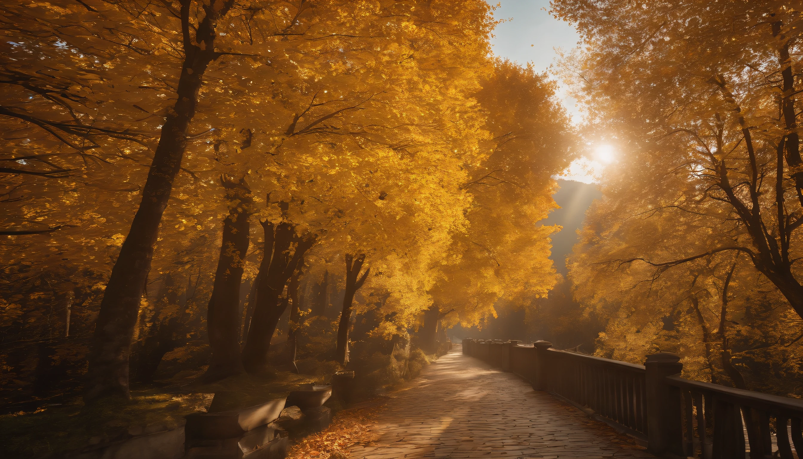 high-level image quality，(8K, hentail realism, RAW photogr, top-quality: 1.4), Ultra-wide angle of view，Beautiful view of autumn，Golden autumn，Ginkgo tree，Daytime，Sheer sunlight,Colored leaves，high qulity，super-fine，Hyper-realistic，Ultra photo realsisim，35mm camera lens，ultra - detailed