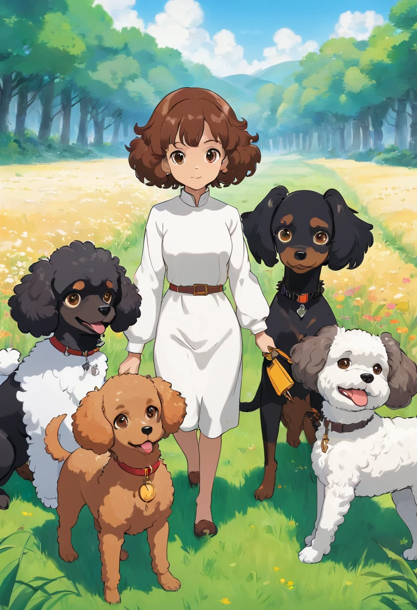 grass field,White toy poodle,Brown toy poodle,Flesh-colored toy poodle,Black Shepherd,Brown cavalier,Black and white cavalier,Dogs in line,