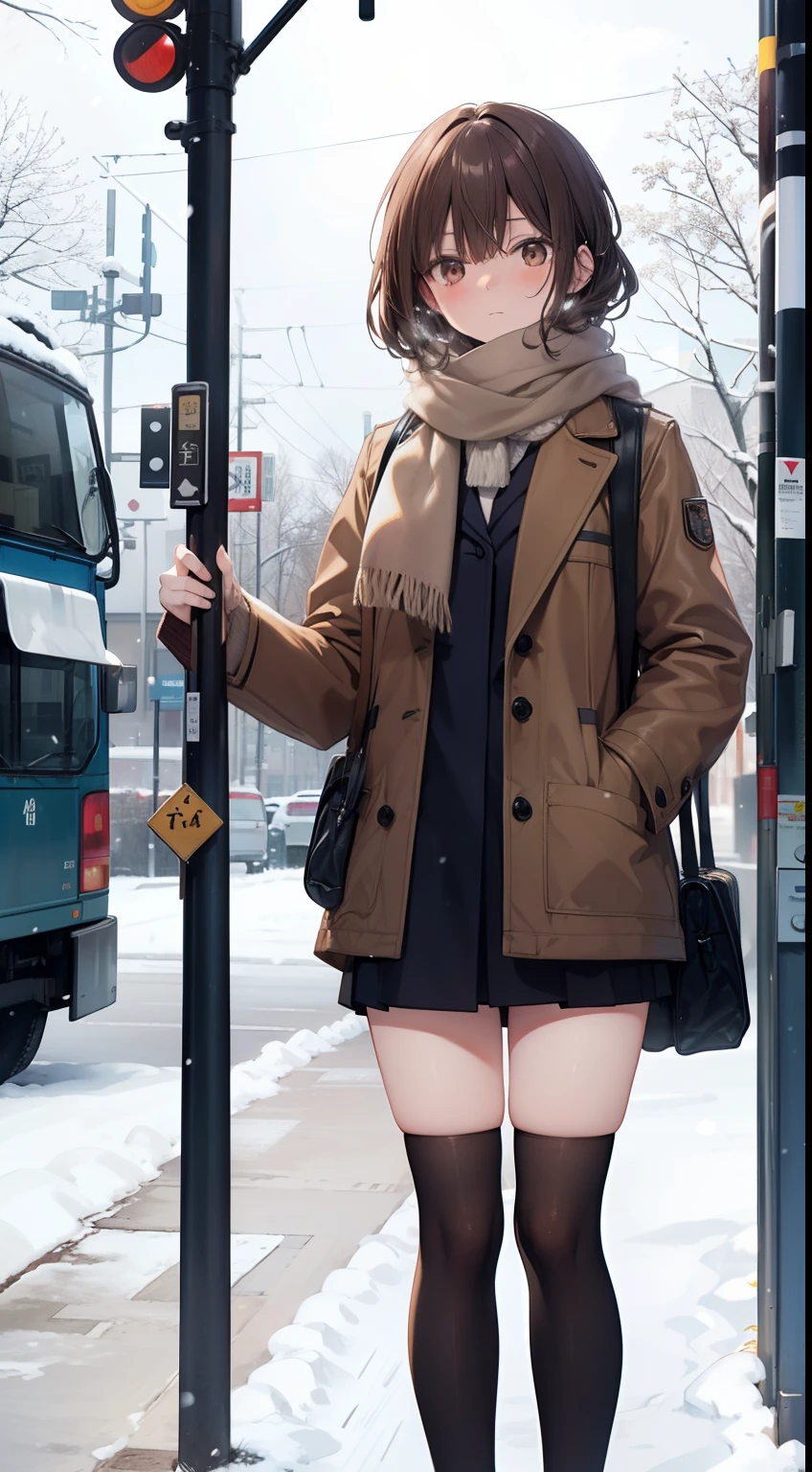 (master piece),(best quality), Yuki, brown fur, scarf, leg, Knee thick thighs, blank eyes, expressionless face, park, bus stop, stand, snow, Snowing, tree, Nature,