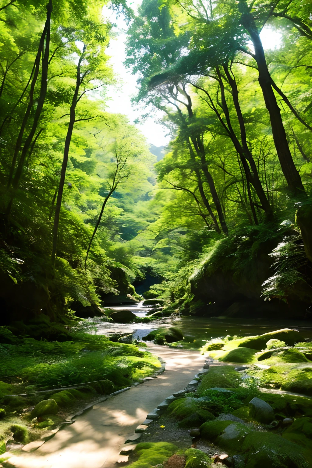 Deep and beautiful forest great outdoors Shining sun Forest bathing Amami Oshima Lush A stream flows Small animals Forest Park